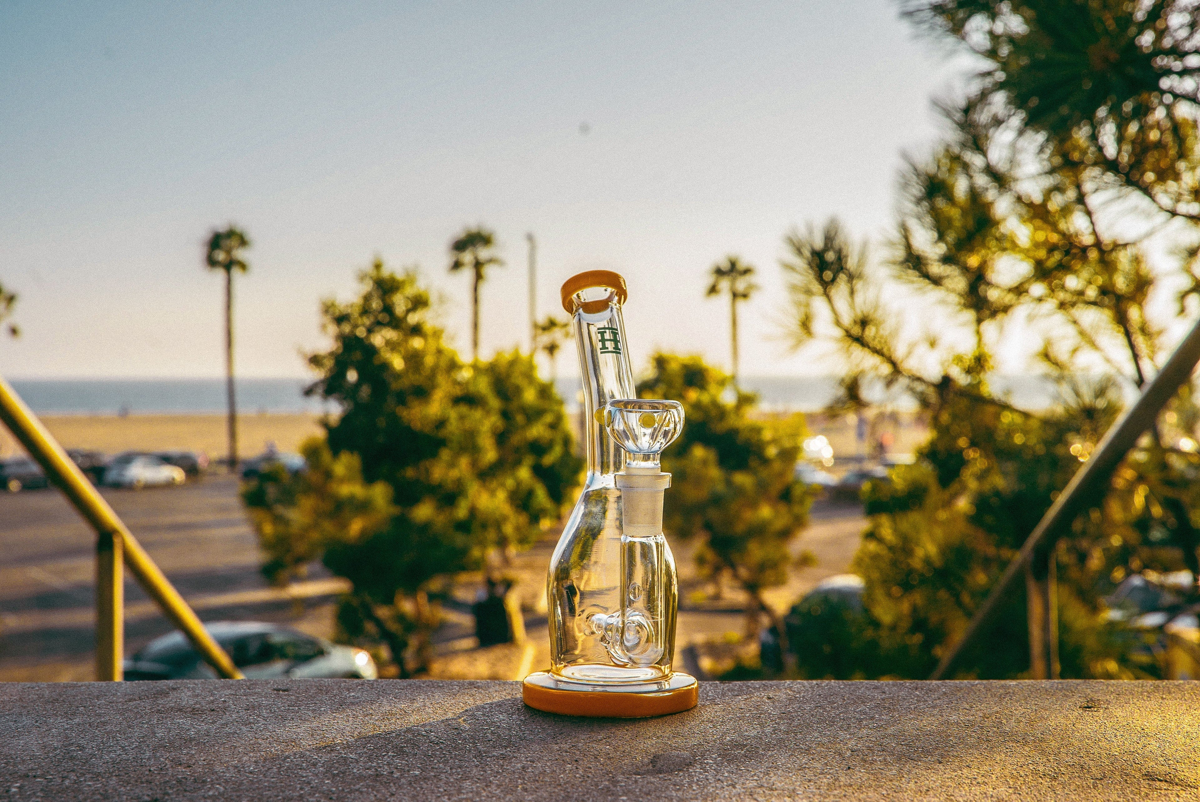 Hemper Whistler Bong