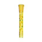 Pulsar Fruit Series Herb Pipe Duo