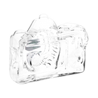 SeshGear Old School Camera Glass Pipe